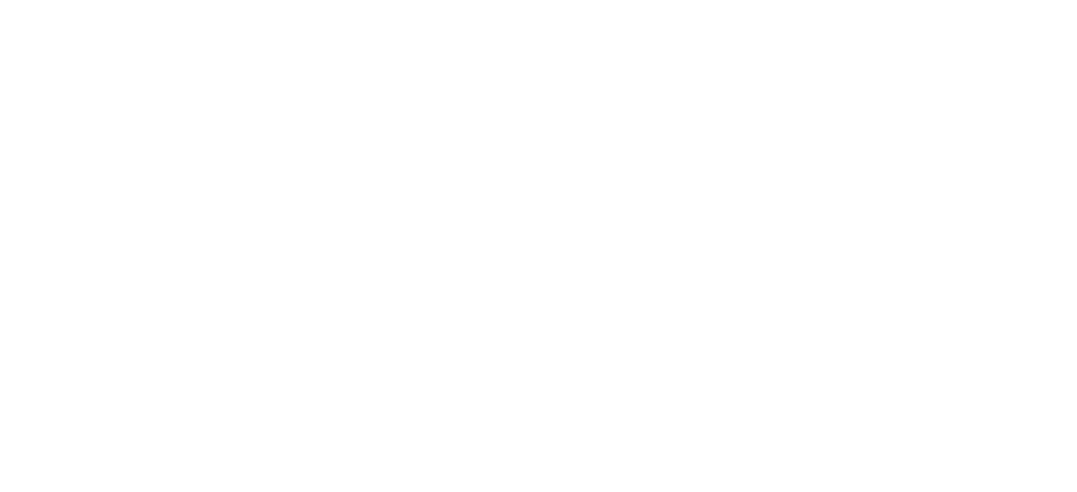 IMU Logo